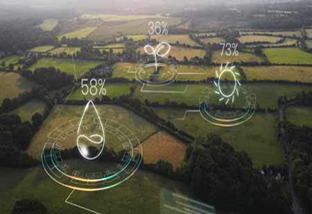 AI-Driven In-Row Weeding Revolutionizing European Agriculture